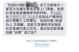 海南如何避免债务纠纷？专业追讨公司教您应对之策